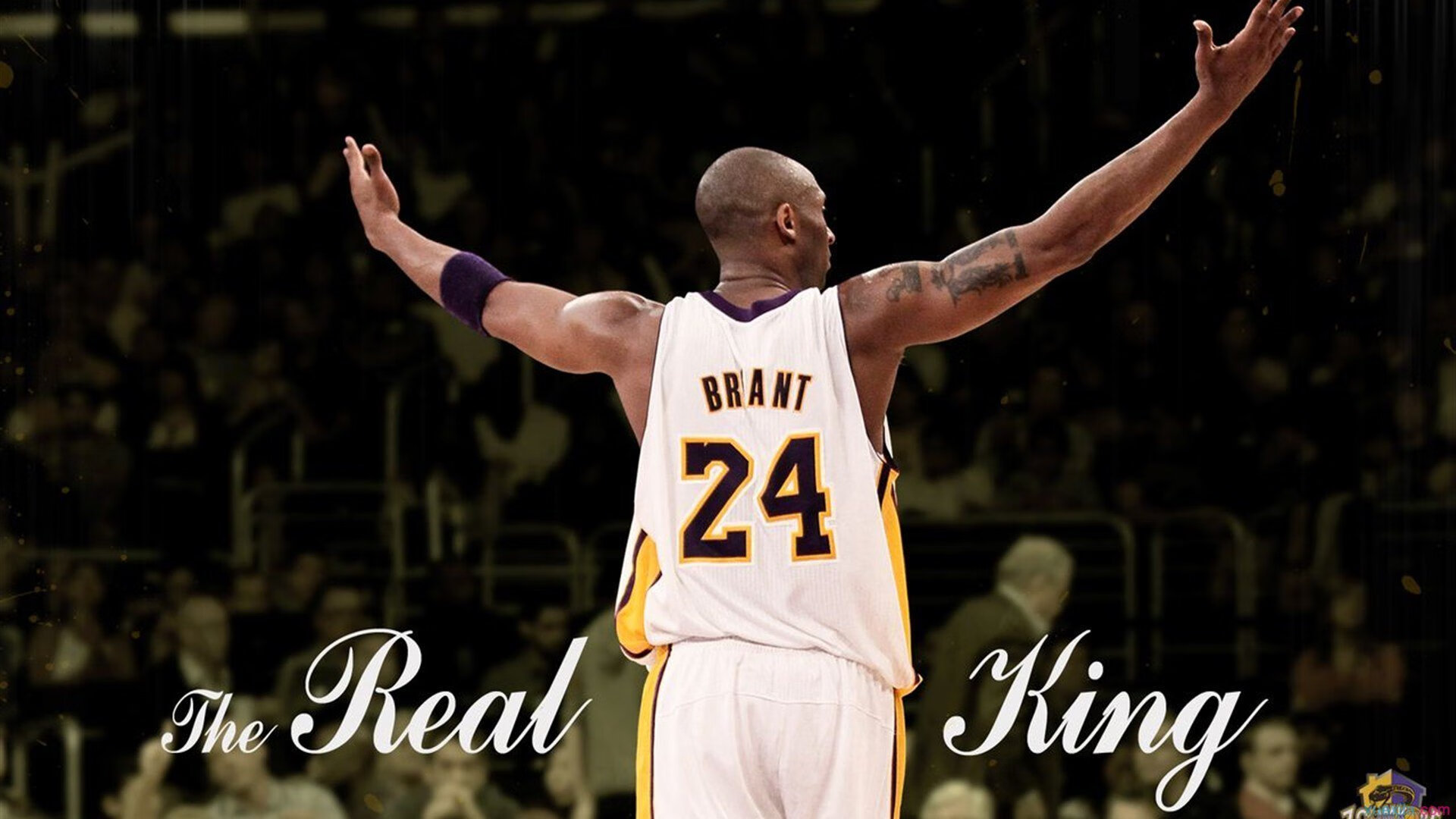 森林狼制霸老鹰，布克成为关键先生