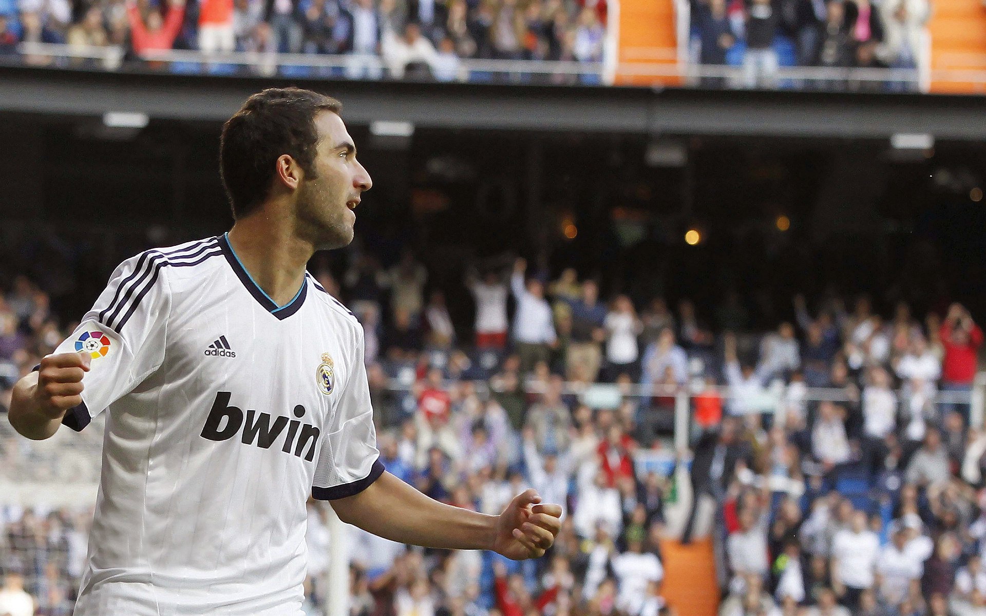 逆转之夜，许昕关键制胜，波兰队力克德国队